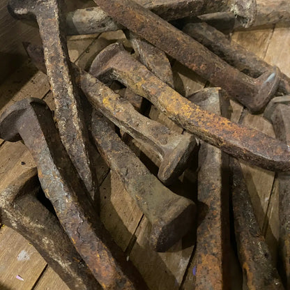 A pile of rusty rail road spikes
